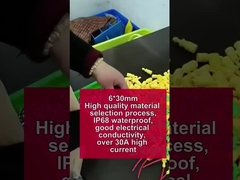 उच्च गुणवत्ता वाली सामग्री चयन प्रक्रिया, IP68 वॉटरप्रूफ, 30A से अधिक उच्च धारा वाले 6*30 तार हार्नेस