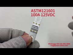 सिरेमिक वाहन फ्यूज 100A 125VDC 20KA तोड़ने की क्षमता फ्यूज