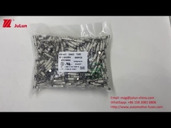 30KA टूटना HV660 20A 550VDC एएसटीएम सिरेमिक ऑटोमोटिव फ्यूज