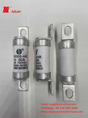 ईवी इलेक्ट्रिक वाहन फ्यूज DC750V के लिए फ्यूज DC750V 10A 15A 20A 25A 30A ऑटोमोबाइल अनुप्रयोग के लिए RS308