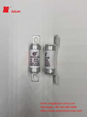 EV RS308 फ्यूज मैकेनिकल शॉक 25A 30A 40A 50A सिरेमिक कॉपर रेटेड वोल्टेज DC750V इलेक्ट्रिक कार के लिए होम ईवी चार्जर