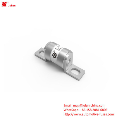 नई ऊर्जा वाहन के लिए इलेक्ट्रिक फ्यूज 16A 20A 25A 32A 35A 40A 50A 63A 180A 250V 30KA OEM लोगो