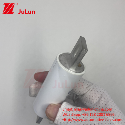 RS309-MM-EV500A1000VDC 50KA 1000VAC 100KA फ्यूज बोल्ट पेंच सुरक्षा