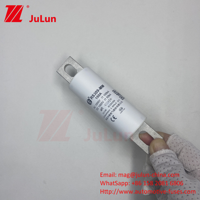 RS309-MM-EV500A1000VDC 50KA 1000VAC 100KA फ्यूज बोल्ट पेंच सुरक्षा