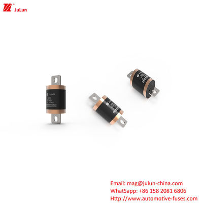 EV8 DC500V 150A 600A 700A 750A 800A 900A 1000A सड़क वाहनों के लिए फ्यूज