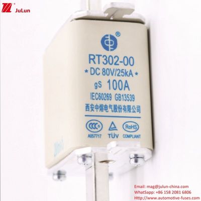 पावर सिस्टम सुरक्षा के लिए DC80V पोर्टेबल इलेक्ट्रिक वाहन फ्यूज RT302-00