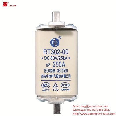 पावर सिस्टम सुरक्षा के लिए DC80V पोर्टेबल इलेक्ट्रिक वाहन फ्यूज RT302-00