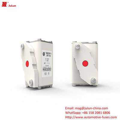 315A AC1000V पोर्टेबल EV चार्जर कार फ्यूज उच्च तोड़ने की क्षमता के साथ
