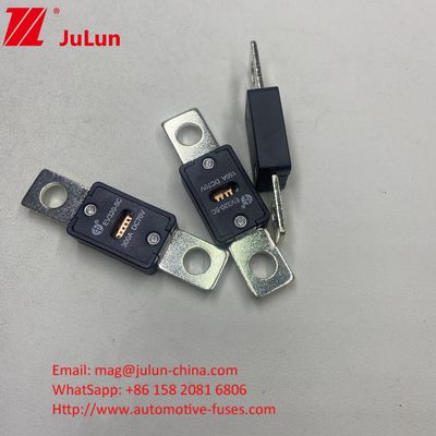 ऑटोमोटिव ब्लेड फ्यूज EV320-3X-150A 70VDC बोल्ट M8 ऑटोमोटिव ऑटो के लिए स्थापना मोड