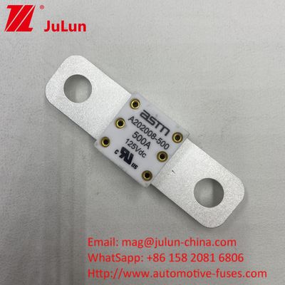 125VDC 200A ANM AMM AEGA ANL CNN CNL ऑटोमोबाइल के लिए कार बैटरी फ्यूज