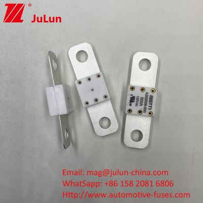 पेशेवर A202008 300A 125VDC भारी शुल्क ऑटोमोटिव बैटरी चार्जर फ्यूज 100A 150A 200A 250A 300A 350A 400A 500A 20KA तोड़ने की क्षमता