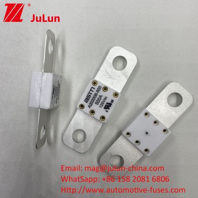 पेशेवर A202008 300A 125VDC भारी शुल्क ऑटोमोटिव बैटरी चार्जर फ्यूज 100A 150A 200A 250A 300A 350A 400A 500A 20KA तोड़ने की क्षमता
