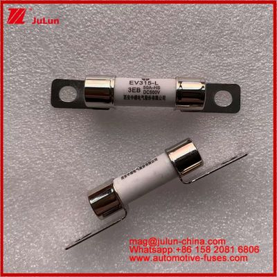 EV315-L 3EB 50A HS 10*38mm ट्रक भारी इलेक्ट्रिक लाइट बोल्ट 500VDC ट्यूबलर फ्यूज के साथ JASO D622 अनुरूपता