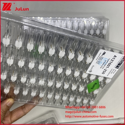 ASTM A121601-250A 125VDC EV बोल्ट फ्यूज बैटरी