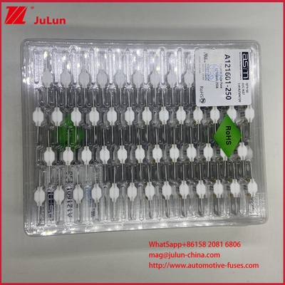 ASTM A121601-250A 125VDC EV बोल्ट फ्यूज बैटरी