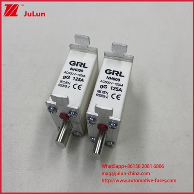 225A 160A 125A NT000/NH000 125A फ्यूज लिंक/धारक बाल्ड फ्यूज सिरेमिक पोर्सिलेन फ्यूज बेस