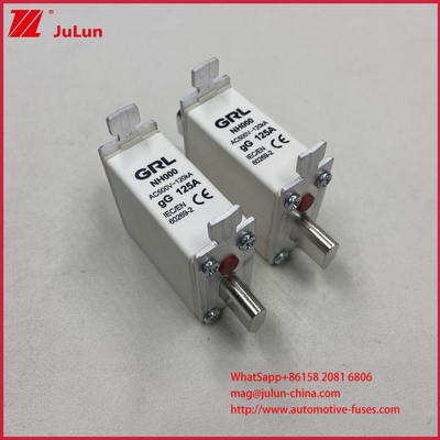 225A 160A 125A NT000/NH000 125A फ्यूज लिंक/धारक बाल्ड फ्यूज सिरेमिक पोर्सिलेन फ्यूज बेस