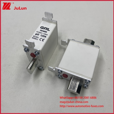 225A 160A 125A NT000/NH000 125A फ्यूज लिंक/धारक बाल्ड फ्यूज सिरेमिक पोर्सिलेन फ्यूज बेस