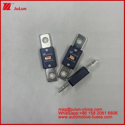 EV320 5X 5C plate-type bolt connection Transparent window fuse 80A 100A 125A 150A 450A 70VDC Current Auto-Blade Fuses 200A 58VDC Automotive Fuse Bolt On Screw Type ANS Bolt Down Fuses