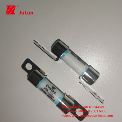 30A इलेक्ट्रिक वाहन फ्यूज पोर्टेबल EV चार्जर 10*38MM 500VDC M6