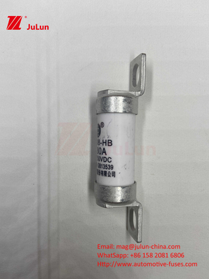 63A RS308 HB फ्यूज बोल्ट माउंटिंग 80A 10A 15A 40A बोल्ट माउंटिंग के साथ ऑटोमोटिव सिरेमिक फ्यूज