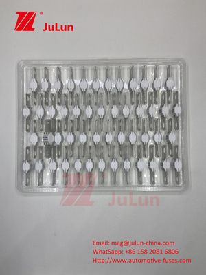 सिरेमिक ऑटोमोटिव ASTM A121601 फ्यूज इलेक्ट्रिक वाहन 300A 125VDC चार्जिंग ऊर्जा भंडारण