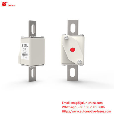 DC1000V 315A इलेक्ट्रिक पावर सिस्टम के लिए EV चार्जर एडाप्टर फ्यूज टर्मिनल