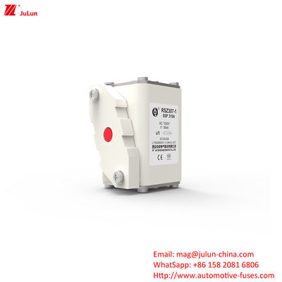 315A AC1000V पोर्टेबल EV चार्जर कार फ्यूज उच्च तोड़ने की क्षमता के साथ
