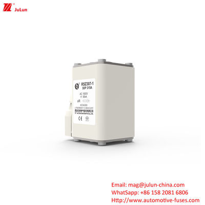315A AC1000V रेल पारगमन जहाज उद्योग इलेक्ट्रिक वाहन फ्यूज