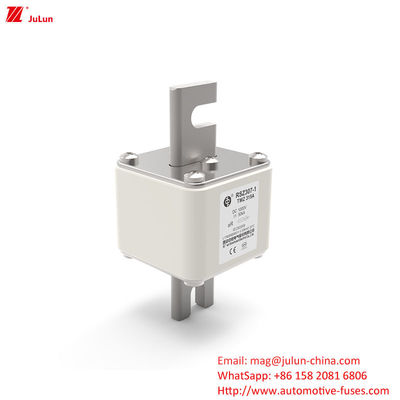 RSZ307 200A-450A DC250V इलेक्ट्रिक वाहन फ्यूज