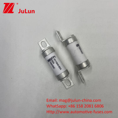 35A 700VDC EV1845 इलेक्ट्रिक वाहनों के लिए फ्यूज बोल्ट फ्यूज टर्मिनल स्क्रू के साथ M8 M6