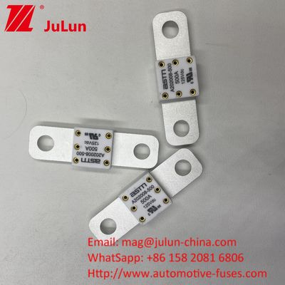 125VDC 200A ANM AMM AEGA ANL CNN CNL ऑटोमोबाइल के लिए कार बैटरी फ्यूज