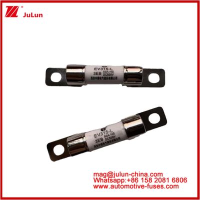 EV315-L 3EB 50A HS 10*38mm ट्रक भारी इलेक्ट्रिक लाइट बोल्ट 500VDC ट्यूबलर फ्यूज के साथ JASO D622 अनुरूपता